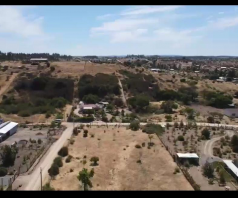 invierte-en-tu-parcela-con-luz-y-pozo,-5000m2,--7