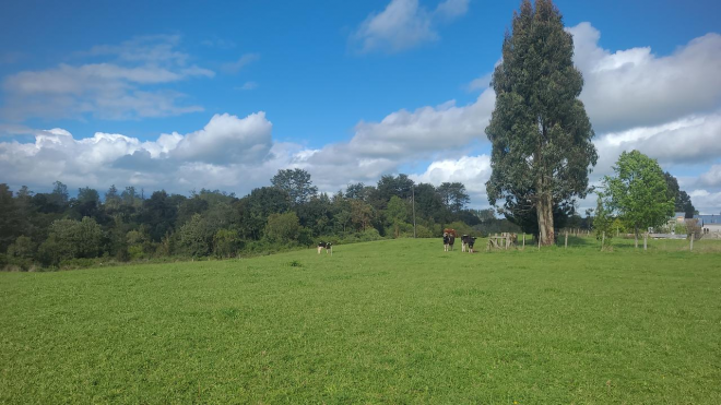 parcelas-5000m2-oportunidad-inversion!!!-3