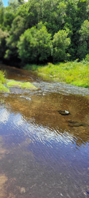 parcelas-5000m2-oportunidad-inversion!!!-6
