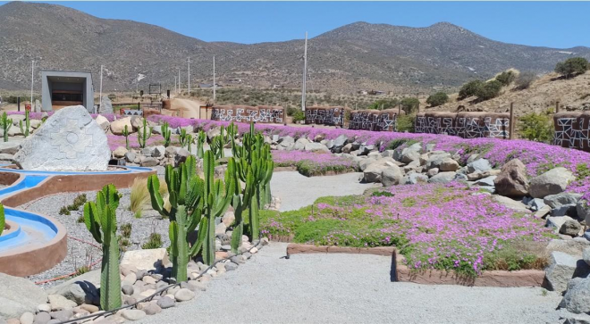 parcela-camin-del-elqui-20-min-aeropuerto-8