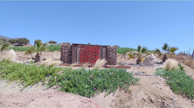 parcela-camin-del-elqui-20-min-aeropuerto-7