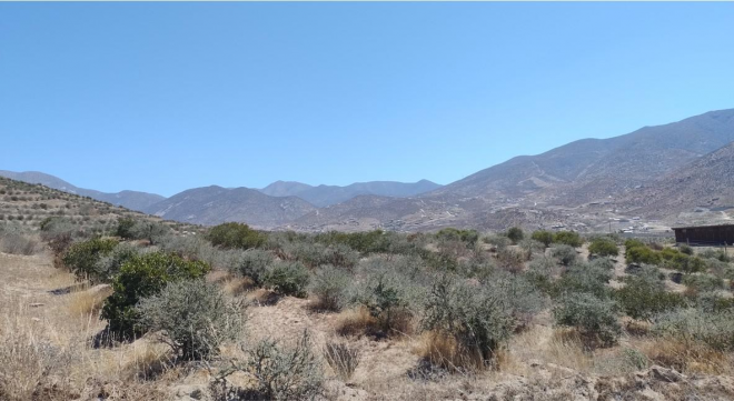 parcela-camin-del-elqui-20-min-aeropuerto-5