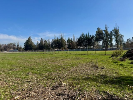 ultimas-parcelas-5000-m2-en-pirque---alta-plusv-4