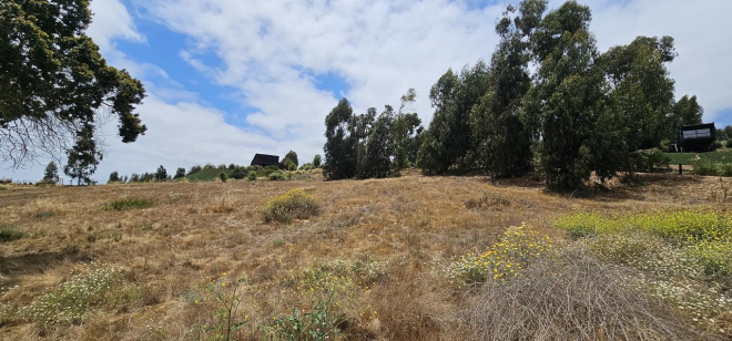 vive-en-maitencillo--parcela-exclusiva-en-campo-3