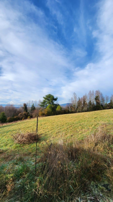 parcela-villarrica-a-13km-del-centro-5