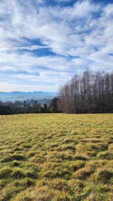 parcela-villarrica-a-13km-del-centro-7