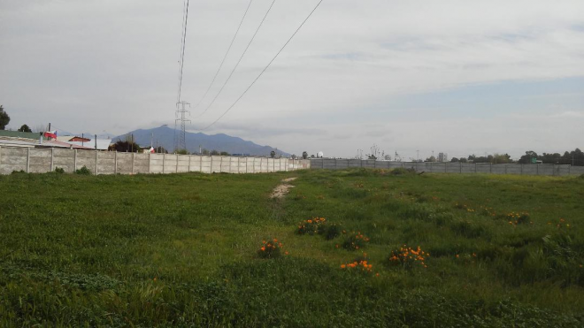sitio-agricola,-totalmente-comercial,-centrico-8