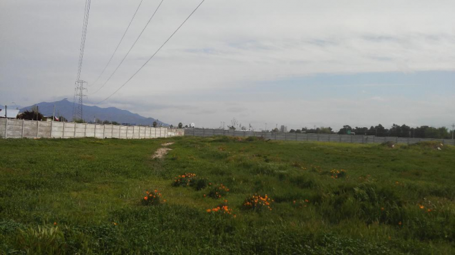 sitio-agricola,-totalmente-comercial,-centrico-9