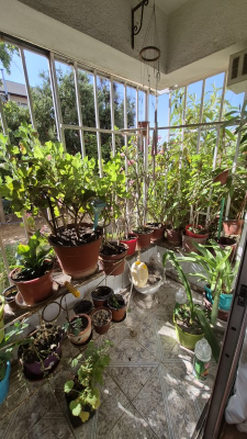 -13