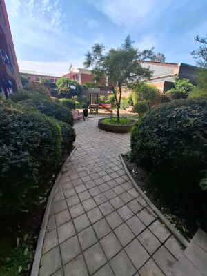 -16