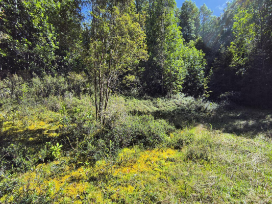 oportunidad-en-queilen---chiloe---terreno-de-6,-6