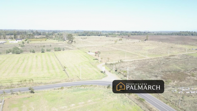 parcela-de-5000m2-a-12-minutos-de-chillan-7