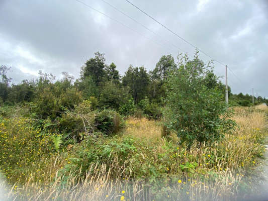 vendo-parcela-en-colonia-tres-puentes,-puerto-v-9