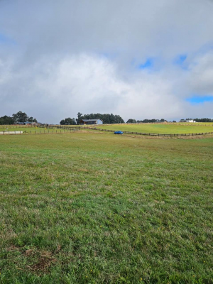 hermosa-parcela-en-condominio-green-hills-4
