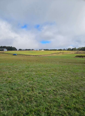 hermosa-parcela-en-condominio-green-hills-7