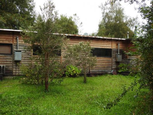 tu-mejor-inversion-parcela-con-casa-en-rininahue-8