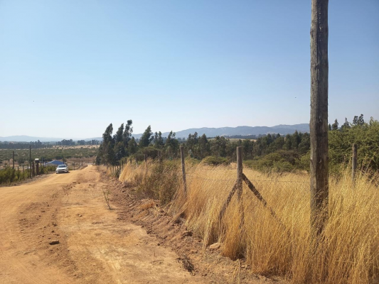 -7