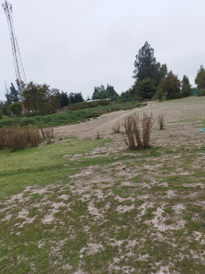 parcela-en-venta-cercana-al-lago-rapel--oportun-8