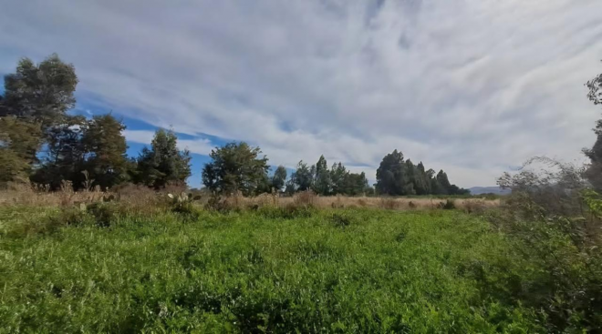 venta-de-parcela,-5000mt2-de-terreno,-camino-sa-9