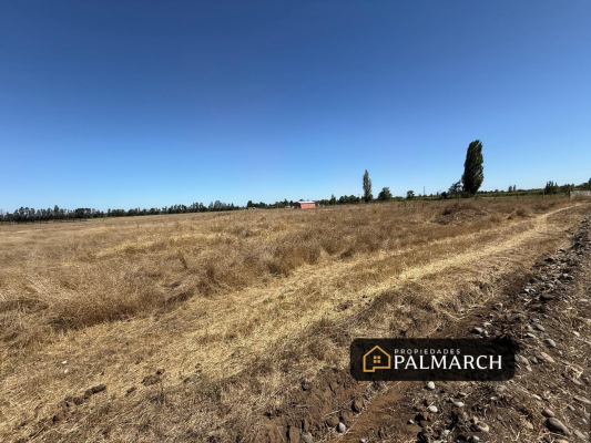 parcelas-en-venta-5000m2-camino-a-cato-chillan-6