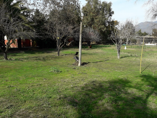 venta-parcela-5600mts-isla-de-maipo-3