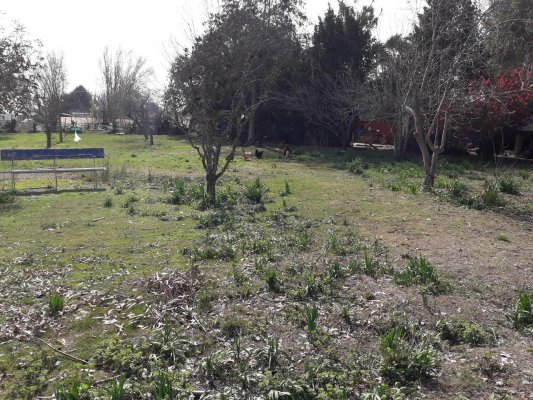 venta-parcela-5600mts-isla-de-maipo-7