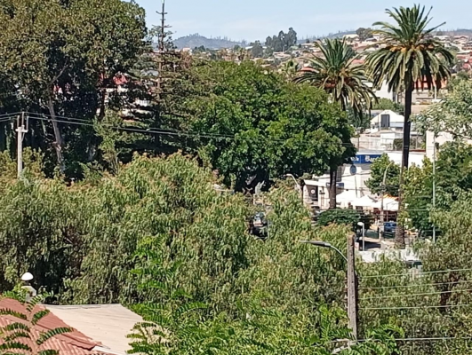 crisol-vende-linda-casa-central-en-quilpue-8