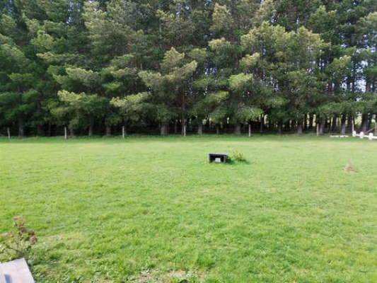 hermosa-parcela-en-venta-en-frutillar,-5000-mts2-3