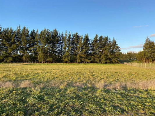 hermosa-parcela-en-venta-en-frutillar,-5000-mts2-4