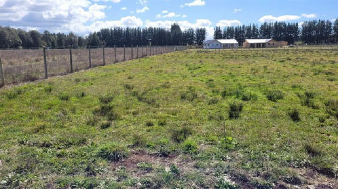 hermosa-parcela-en-venta-en-frutillar,-5000-mts2-5