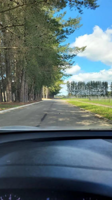 hermosa-parcela-en-venta-en-frutillar,-5000-mts2-7