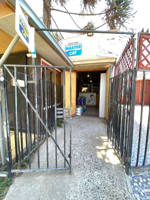 oportunidad-excelente-casa-con-local-(83232)-3
