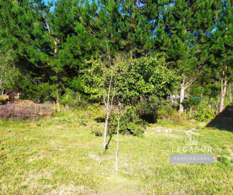casa-amplia-con-jardin-en-sector-tranquilo-(168-6