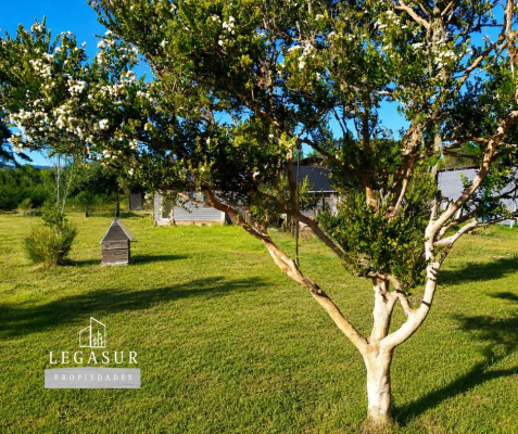 casa-amplia-con-jardin-en-sector-tranquilo-(168-8