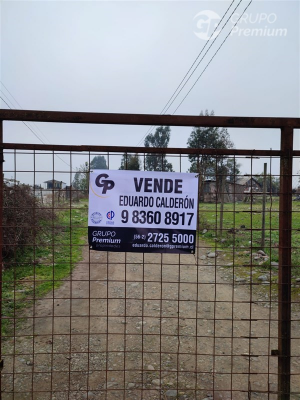 114070744-3