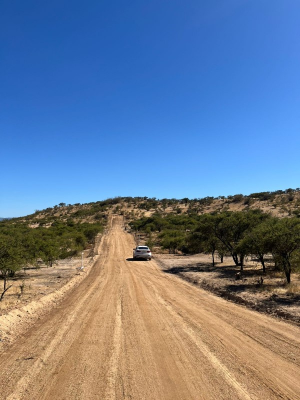 -18