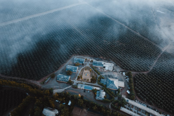 -11