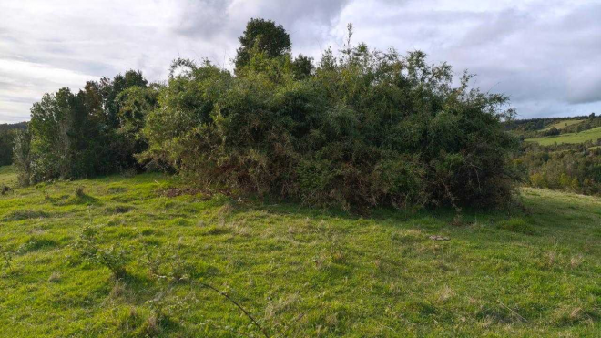 campo-de-3-ha-subdividido-en-6-lotes-(143214)-4