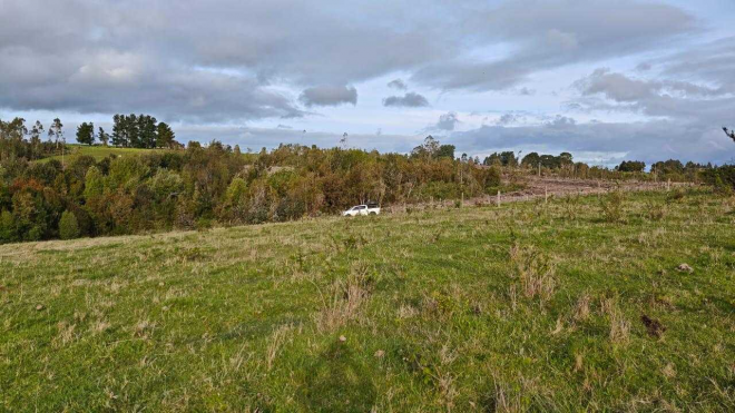 campo-de-3-ha-subdividido-en-6-lotes-(143214)-5