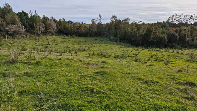 campo-de-3-ha-subdividido-en-6-lotes-(143214)-6