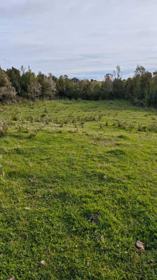 campo-de-3-ha-subdividido-en-6-lotes-(143214)-7
