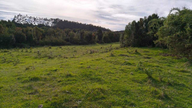 campo-de-3-ha-subdividido-en-6-lotes-(143214)-8