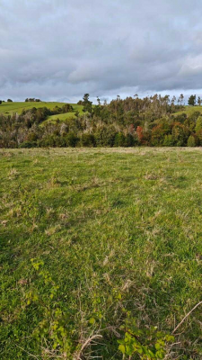 campo-de-3-ha-subdividido-en-6-lotes-(143214)-9