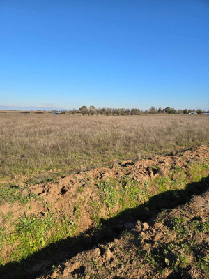 venta-parcela-7200-m2-san-rafael-(129188)-3