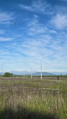 venta-parcela-7200-m2-san-rafael-(129188)-8