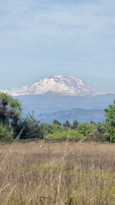 venta-parcela-7200-m2-san-rafael-(129188)-9