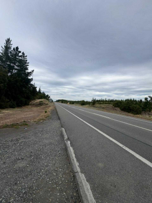 macro-lotes-en-yumbel-de-15000m2-(152748)-8