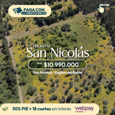 parcelas-de-5000m2-en-san-nicolas-nuble-(155660)-3