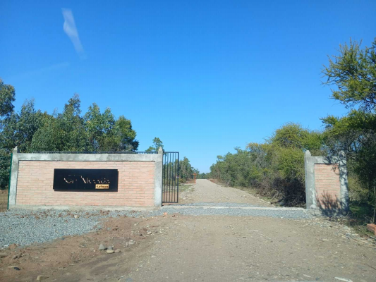 parcelas-de-5000m2-en-san-nicolas-nuble-(155660)-6