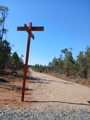 parcelas-de-5000m2-en-san-nicolas-nuble-(155660)-7